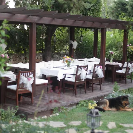 Mango Boutique 5*